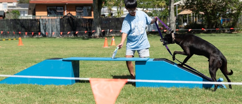 A Doggy Day Out - Northcote