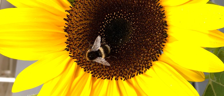 Seasonal Scavenger Hunt: Summer