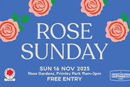 Rose Sunday 2025