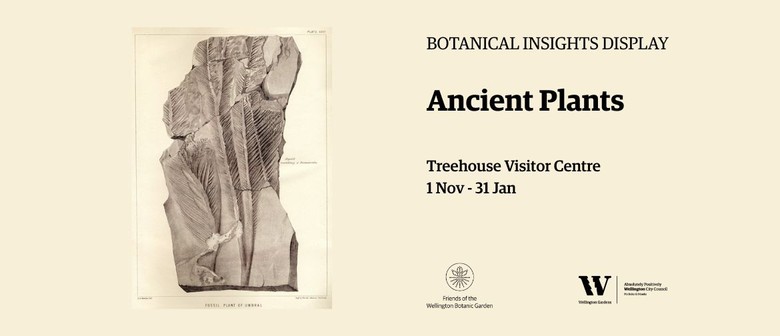 Botanical insights display - Ancient plants