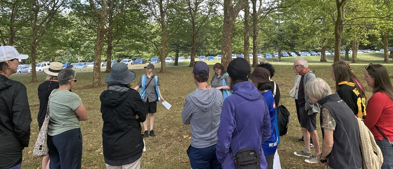 Guided Walk: Hospital Heritage