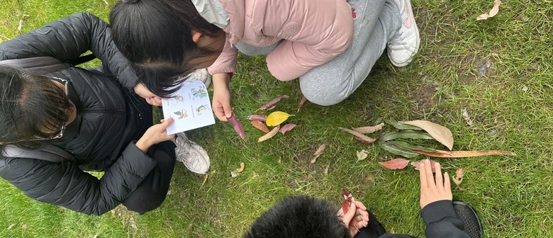 Tamariki Discover Summer