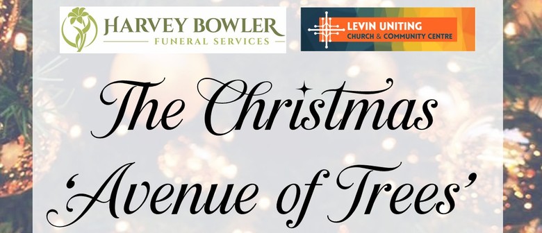 Christmas Avenue of Trees 2025