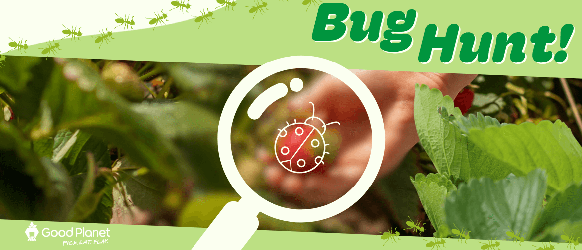 Good Planet Bug Hunt!