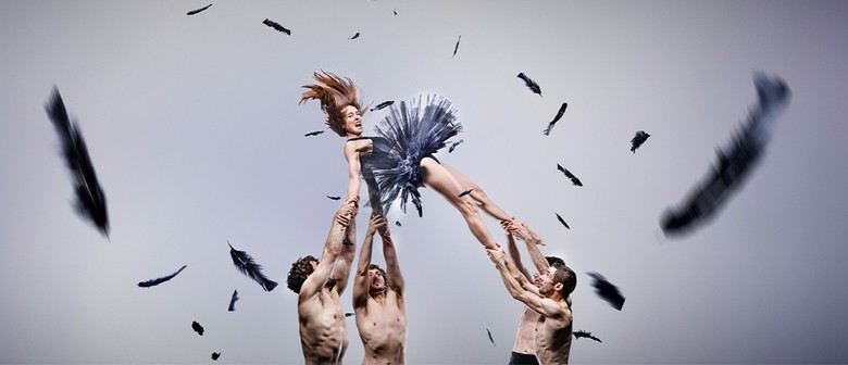 Auckland Arts Festival - Duck Pond