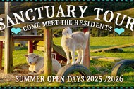 Black Sheep Animal Sanctuary Open Day 25/26