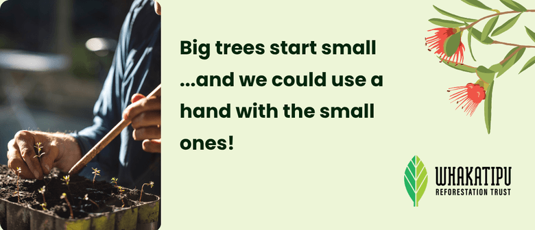 Community Nursery - Evening Volunteer Sessions