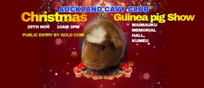 Guinea Pig Show