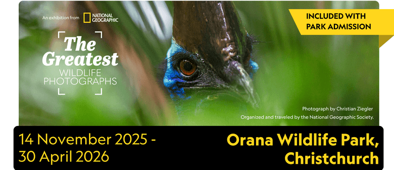 National Geographic&rsquo;s The Greatest Wildlife Photographs