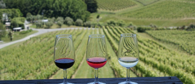 Taste Tour of Matakana Coast