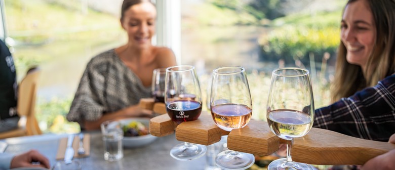 Taste Tour of the Matakana Coast