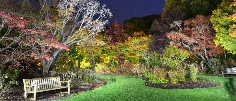 Exhibition: Botanical Visions &ndash; A Tribute to Nature&rsquo;s Wonders