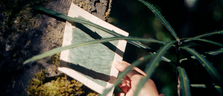 Cora-Allan: Recording Mauri