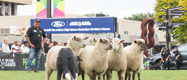 Ford Ranger NZ Rural Games