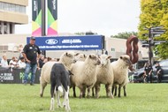 Ford Ranger NZ Rural Games