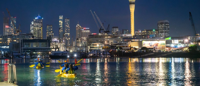 Christmas Eve - City Lights Night Tour