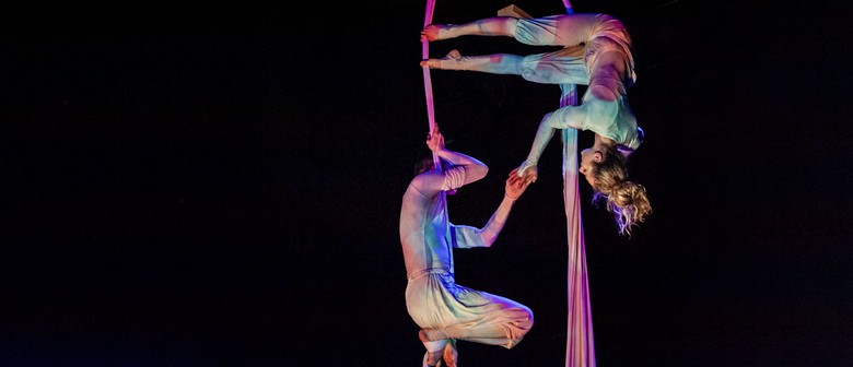 Dream Garden | TSB Festival of Lights