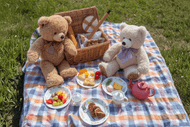 Teddy Bears Picnic & Sleepover
