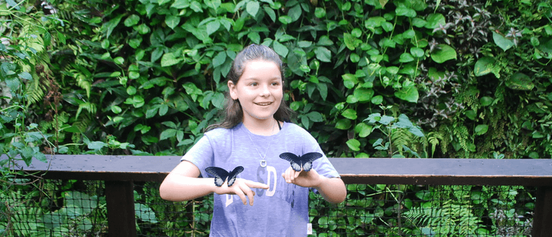 Summer Fun at Butterfly Creek