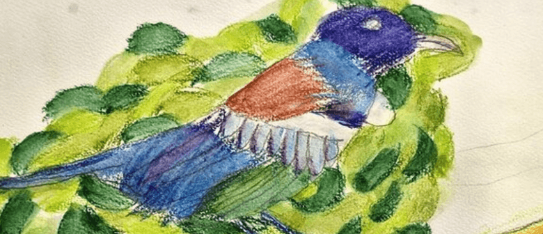 Lets Draw & Paint with Susannah MacDonald