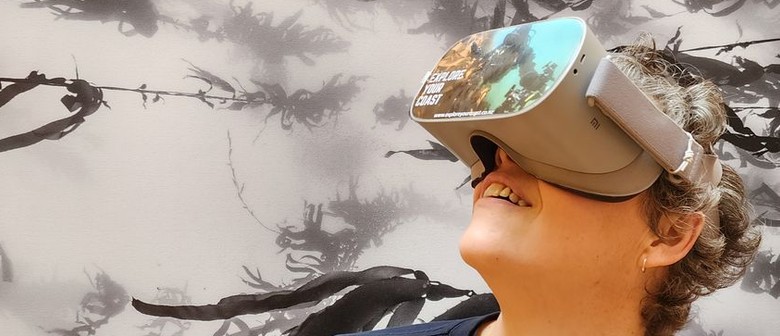 Wellington Marine Life VR Experience
