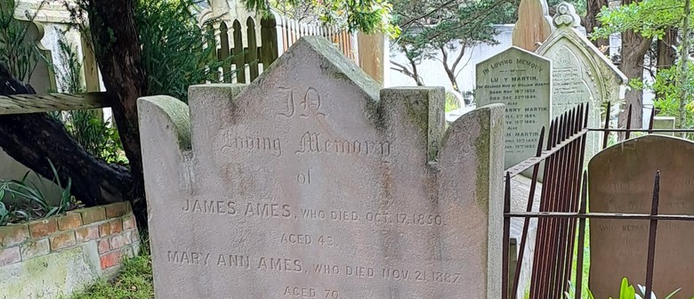 Wellington Anniversary Day Tour