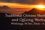 Chinese Medicine & QiGong Workshop