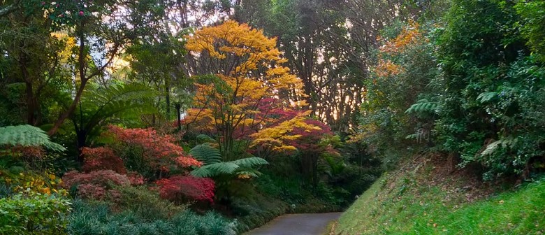 West Way Wander - Guided Walk