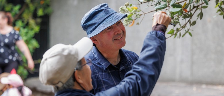 Spotlight Tour: From Land, Sea, and Sky