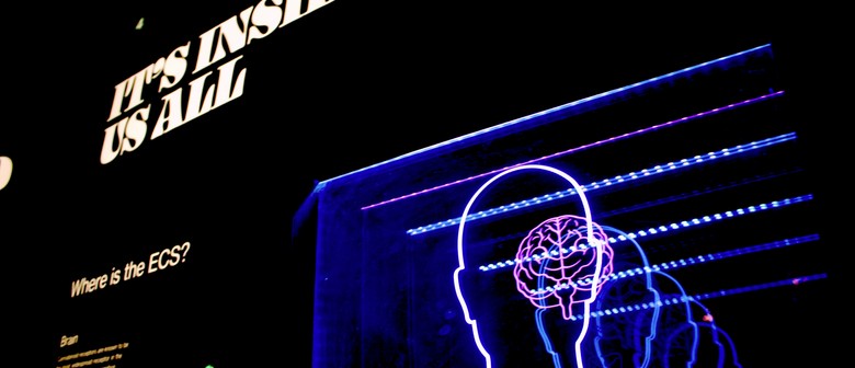 Psychology &ndash; A Practical Introduction