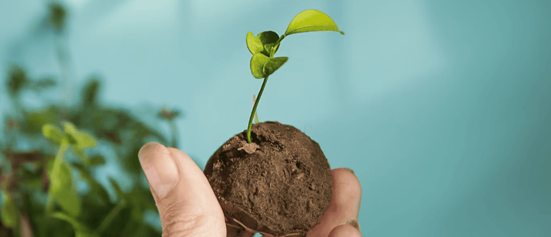 Kids Seed Ball Workshop: Help Our Pollinators!