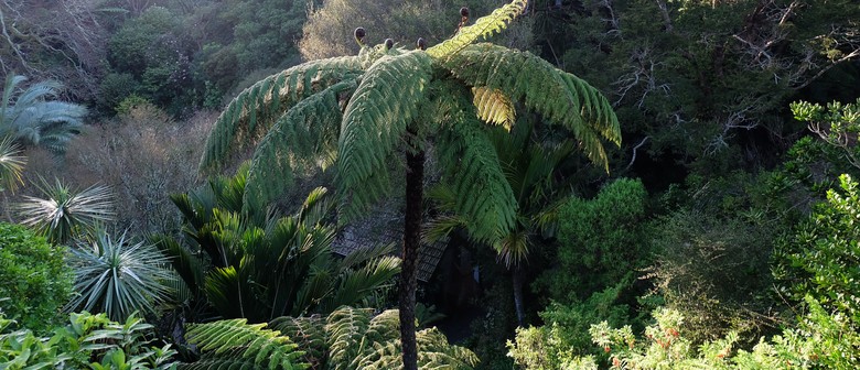 Beating the Odds - Guided Walk