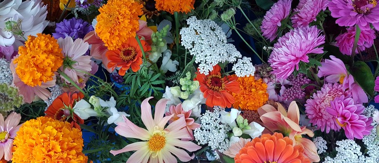 Lavender & Flower Farm PYO