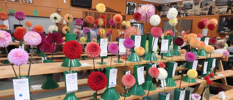 Rongotea Horticultural Society Autumn Show