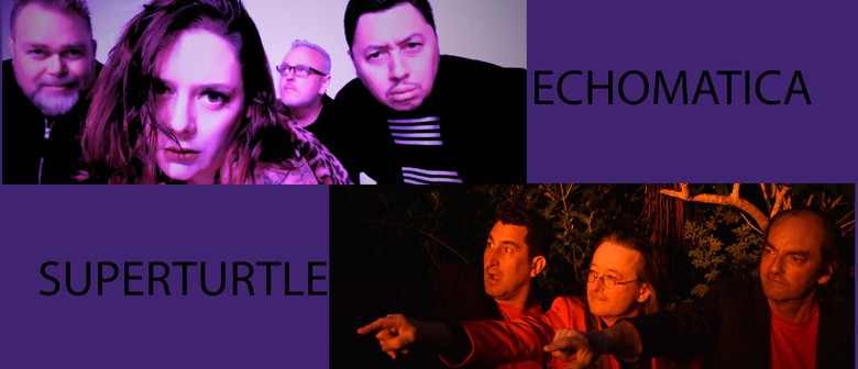 Echomatica & Superturtle celebrate Waitangi Day Weekend