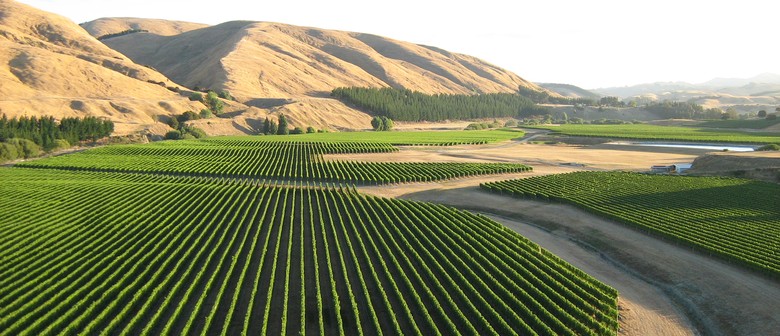 Discover Te Muna - Go Behind the Scenes in April