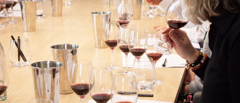 Discover Te Muna - Explore the Wines