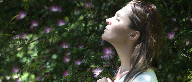 An Introduction to Meditation