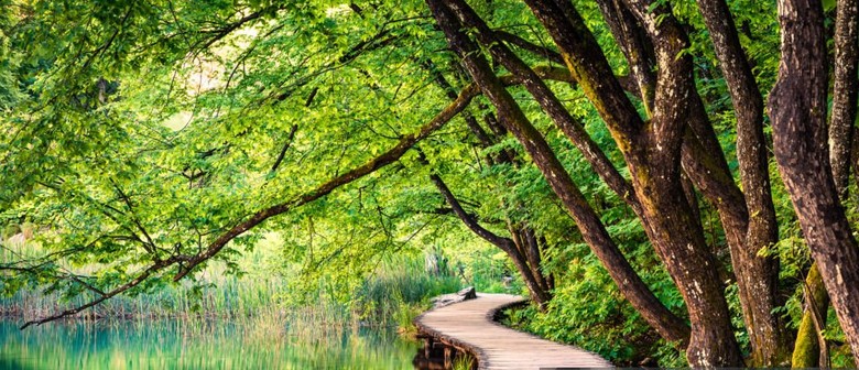 Mastering Meditation