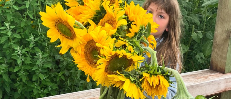 Sunflower Farm House