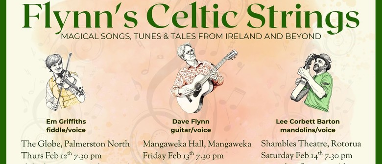 Flynn's Celtic Strings