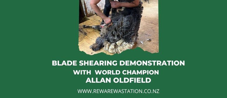 Allan the Shearer - Blade Shearing Demonstration