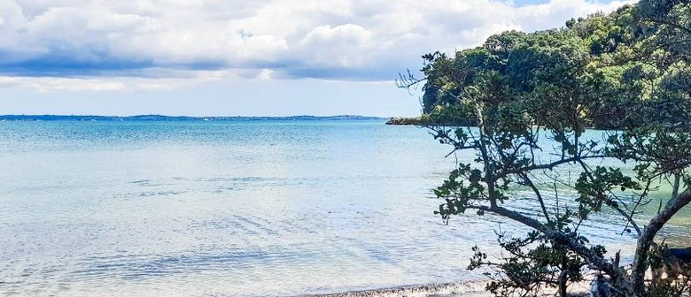 Surfdale Plant-Based Picnic Day  &ndash; EcoFest