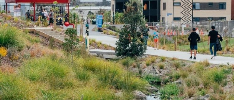 Guided Walk through Te Ara Awataha