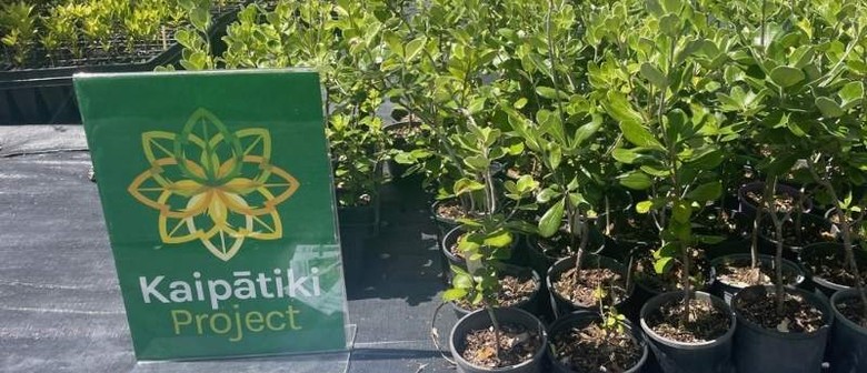 Love Your Plants Pop-Up