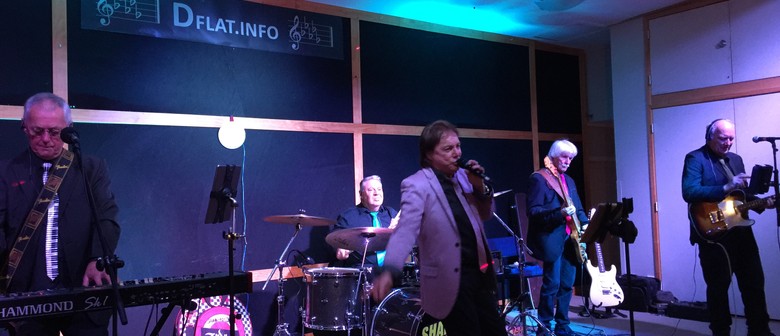 Shane and The Shazam Band