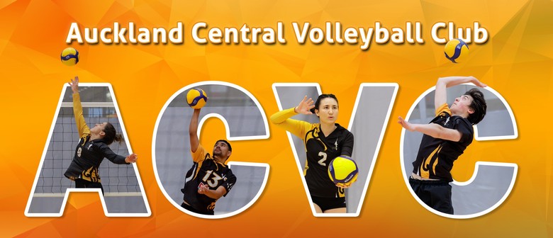 ACVC:   Learn to Play Volleyball New Skill Beginners and Intermediate