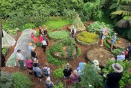 Korito Permaculture Open Garden