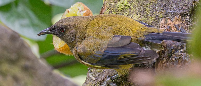 Behind the Lens: Photography Results and Insights Night