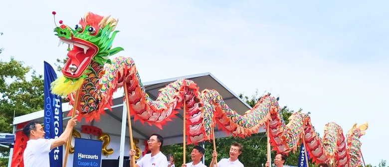 2026 Albany Asian New Year Festival